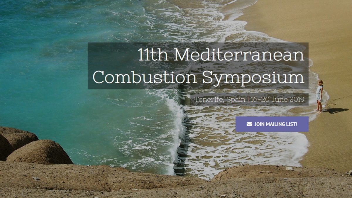 11MSC: Mediterranean Combustion Symposium