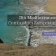 11MSC: Mediterranean Combustion Symposium