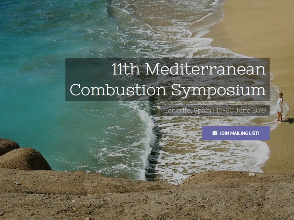 11MSC: Mediterranean Combustion Symposium